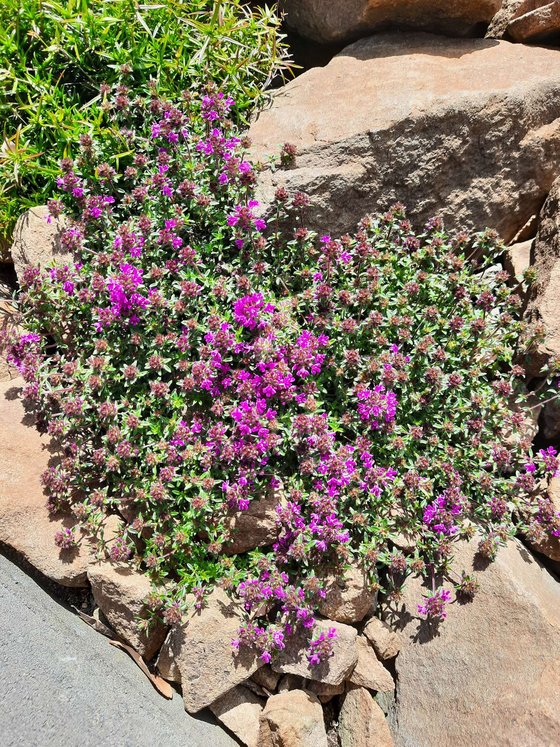 … langsam aber sicher