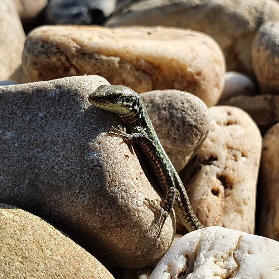 Der erste Bewohner wartet schon …