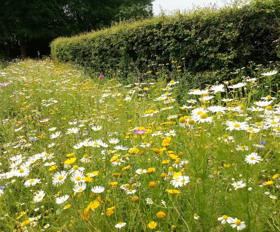Ständig im Wandel, ständig schön