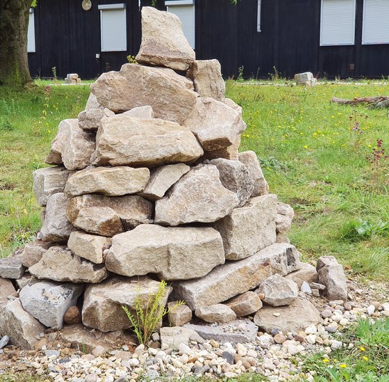 Ein neues Zuhause für Eidechsen und Co.