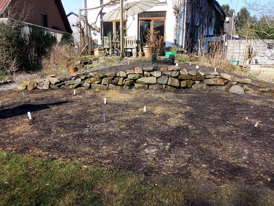 Anschließende Aussaat mit zertifizierten Saatgut und eine Handvoll Initialstauden