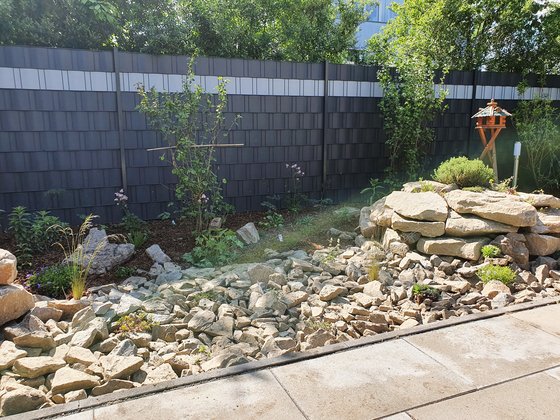 … jetzt müssen nur noch die Steingartenstauden ihr Terrain erobern