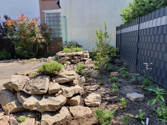 noch sind die Stauden in der rechten Hälfte klein …