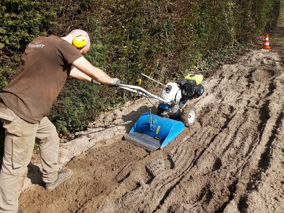 Das erste Jahr: Sandig und schwer ist der Weg zur Blumenwiese