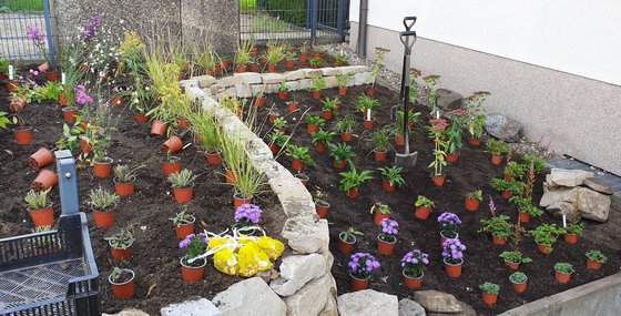 Zwiebeln und Stauden sind bereit in die Erde zu kommen