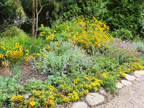 Blühfließband mit vielen trockenheitsverträglichen Stauden