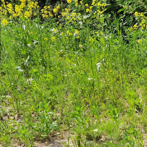 Das erste Jahr: Langsam wächst es