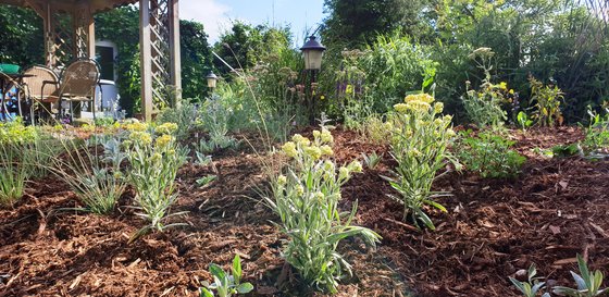 Hier wachsen wir, der Klimawandel kann uns nichts