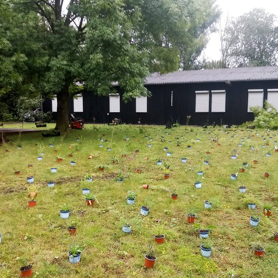 Naturnahe Umgestaltung eines Firmengeländes Teil 1