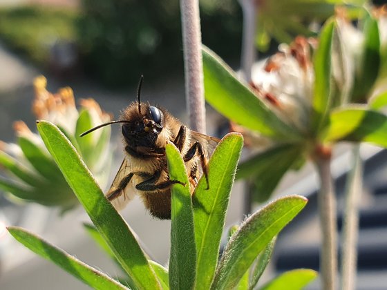 So, erstmal ausruhen …