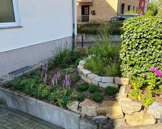 Schön wachsen sie!...auch auf der anderen Seite ;-)